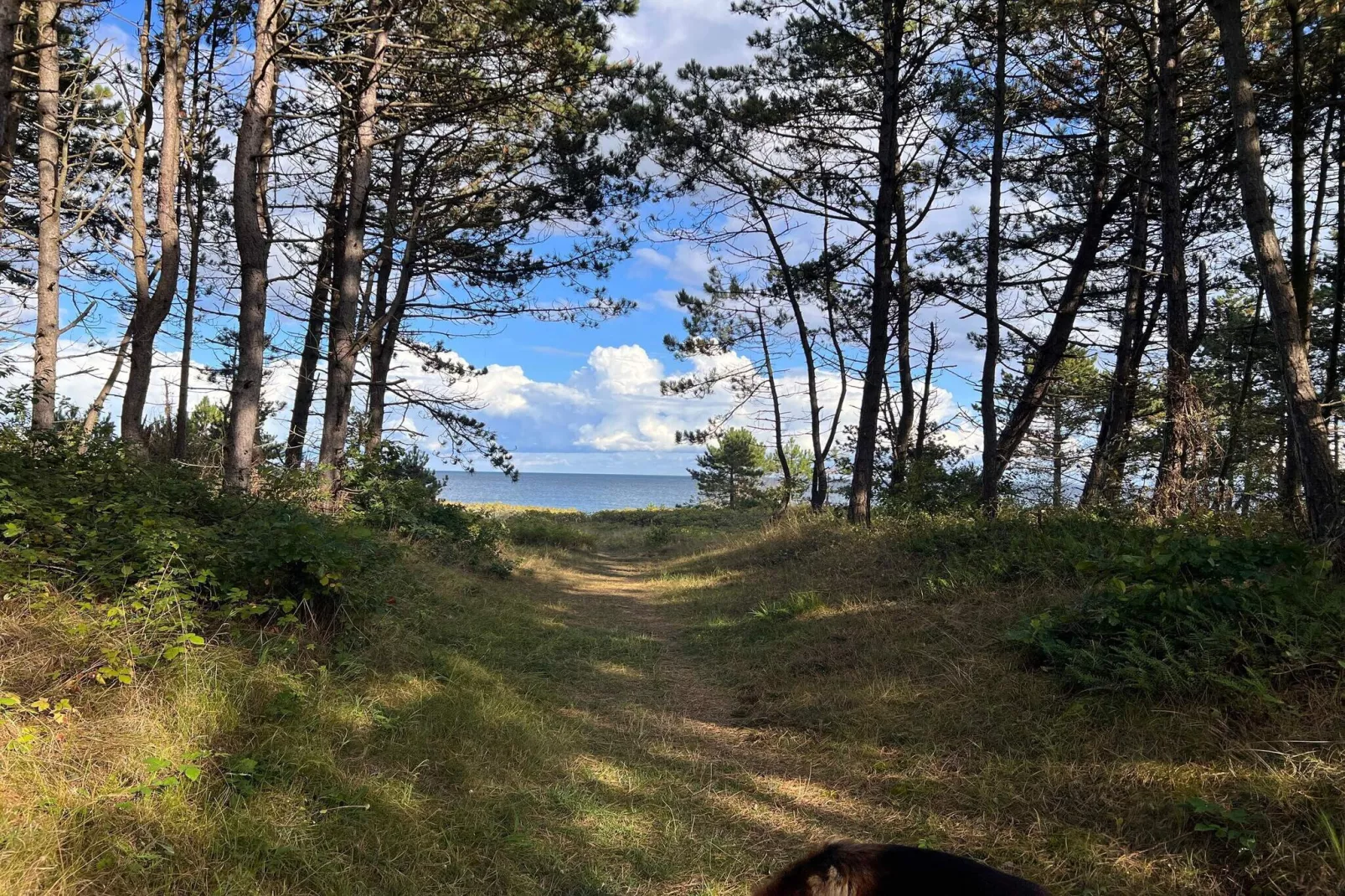 Maison de vacances pour 4 a Ebeltoft-By Traum