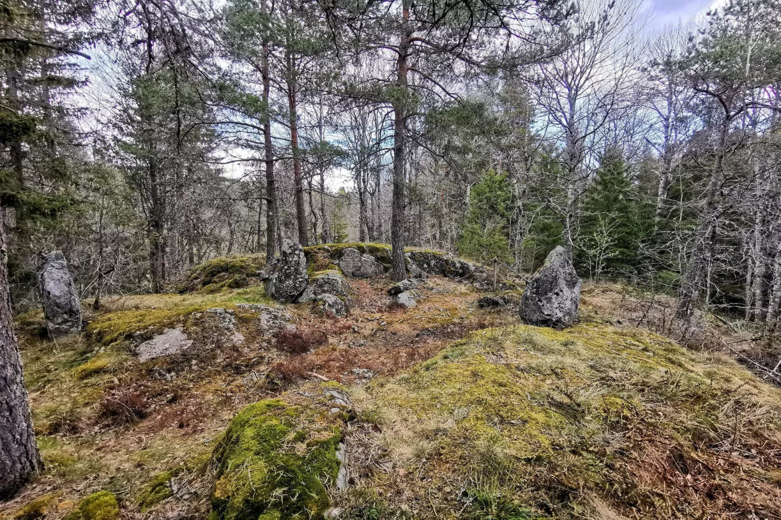 4 Personen Ferienhaus in DALS ROSTOCK-Nicht zugeordnet