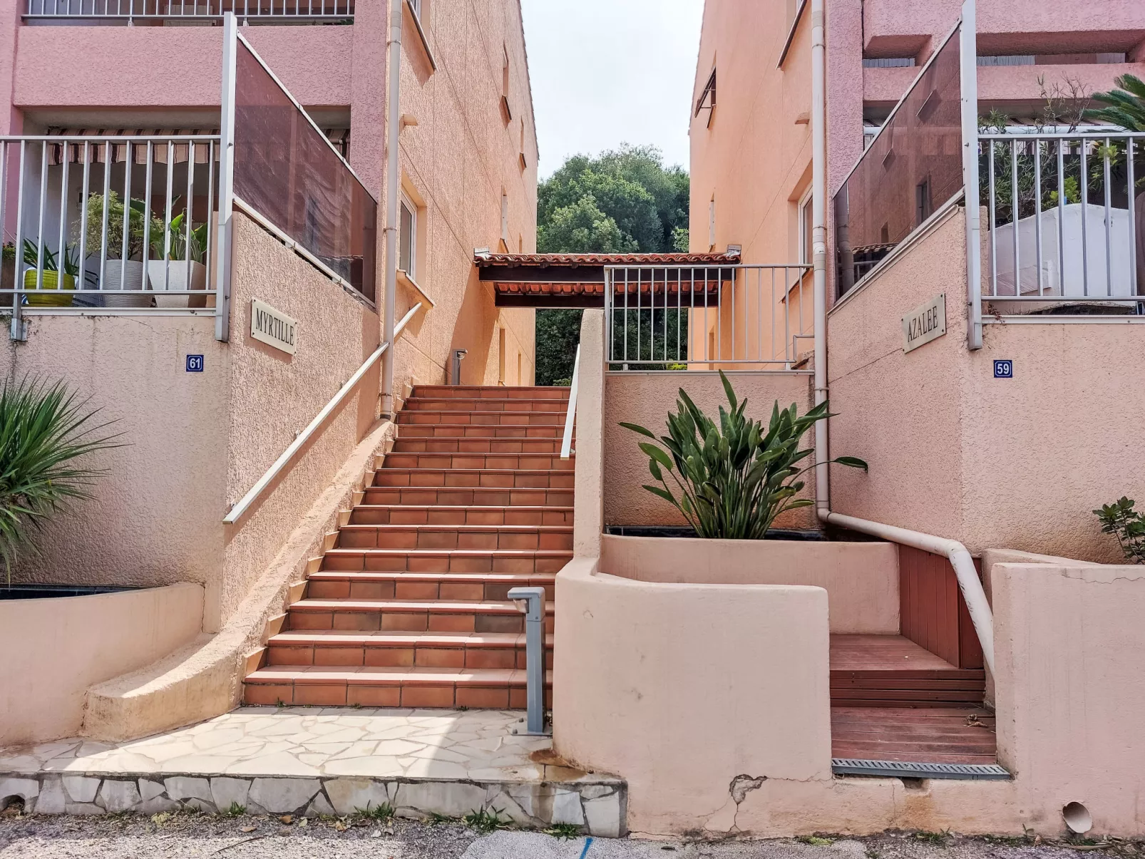 Les myrtilles-Outside