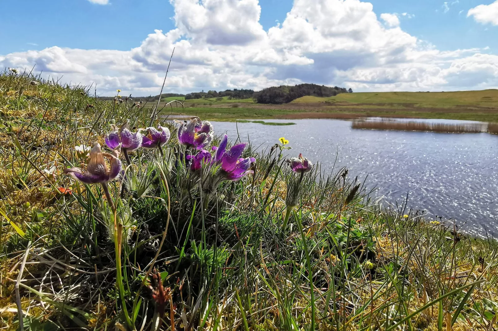 4 star holiday home in Gedsted-By Traum-Water view