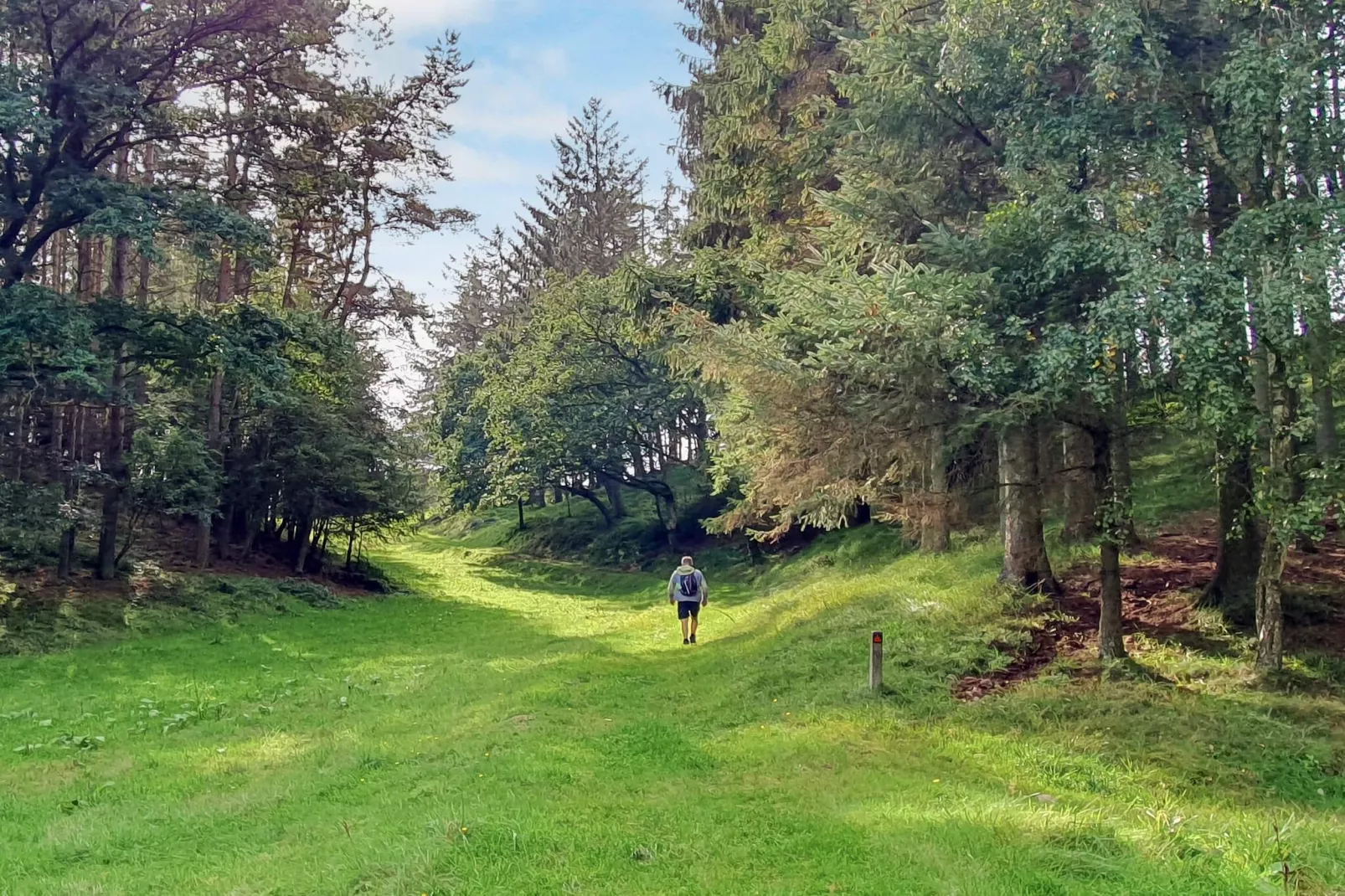 5 Sterne Ferienhaus in Farsø-By Traum-Nicht zugeordnet