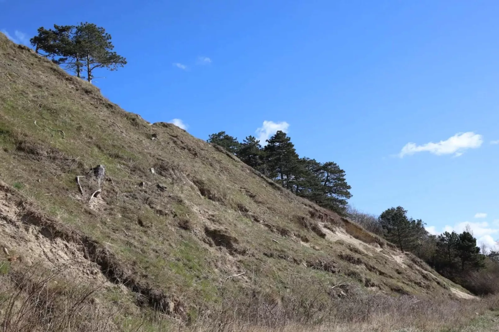 5 person holiday home in Frederiksværk-By Traum-Untagged