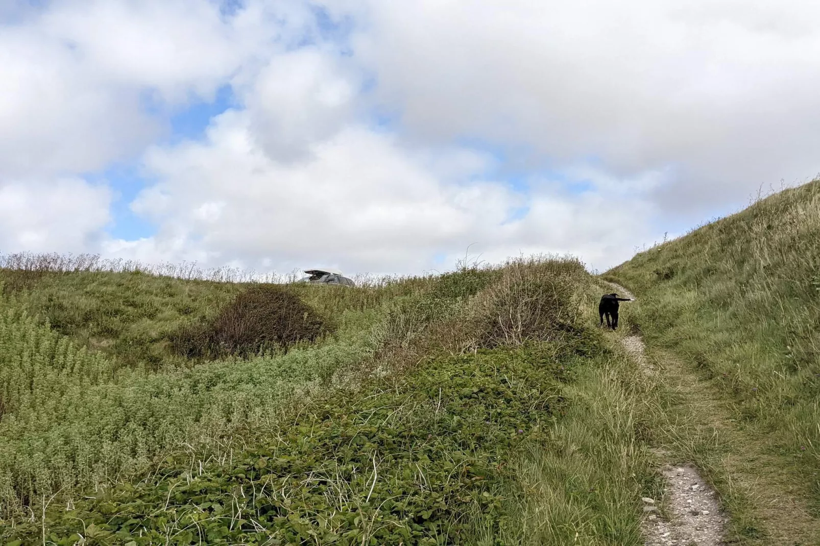 Maison de vacances pour 7 a Vestervig-By Traum-Non tagué