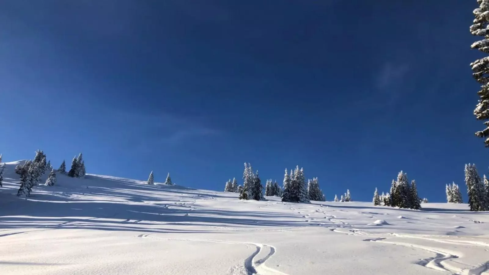 Bojahouse-Gebiet Winter 20 km