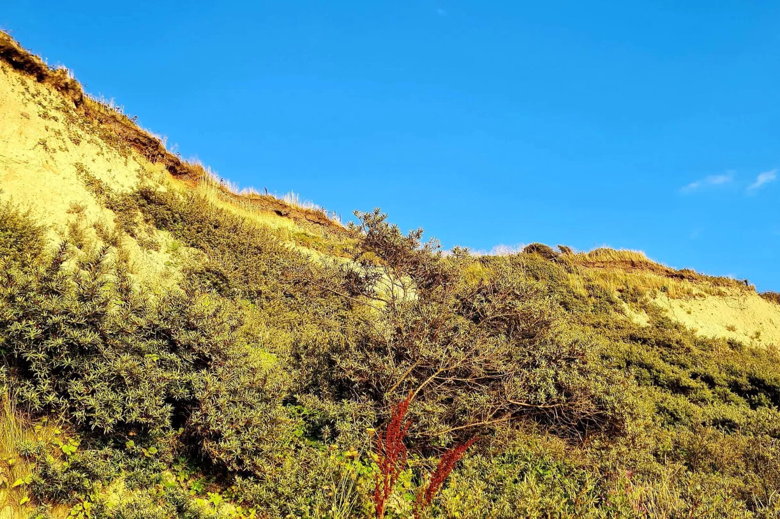 4 Sterne Ferienhaus in Vestervig-By Traum-Nicht zugeordnet
