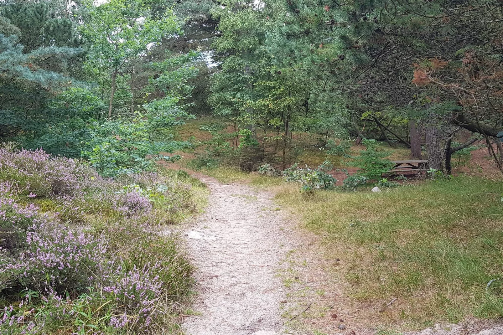 5 Sterne Ferienhaus in Rømø-Im Freien