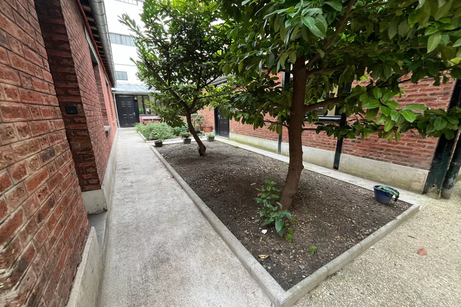 TRUFFAUT 30-Nicht zugeordnet