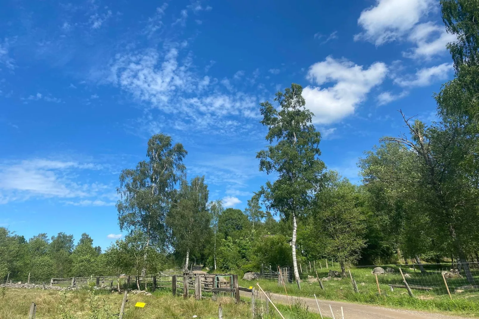 4 person holiday home in Hoor-Untagged