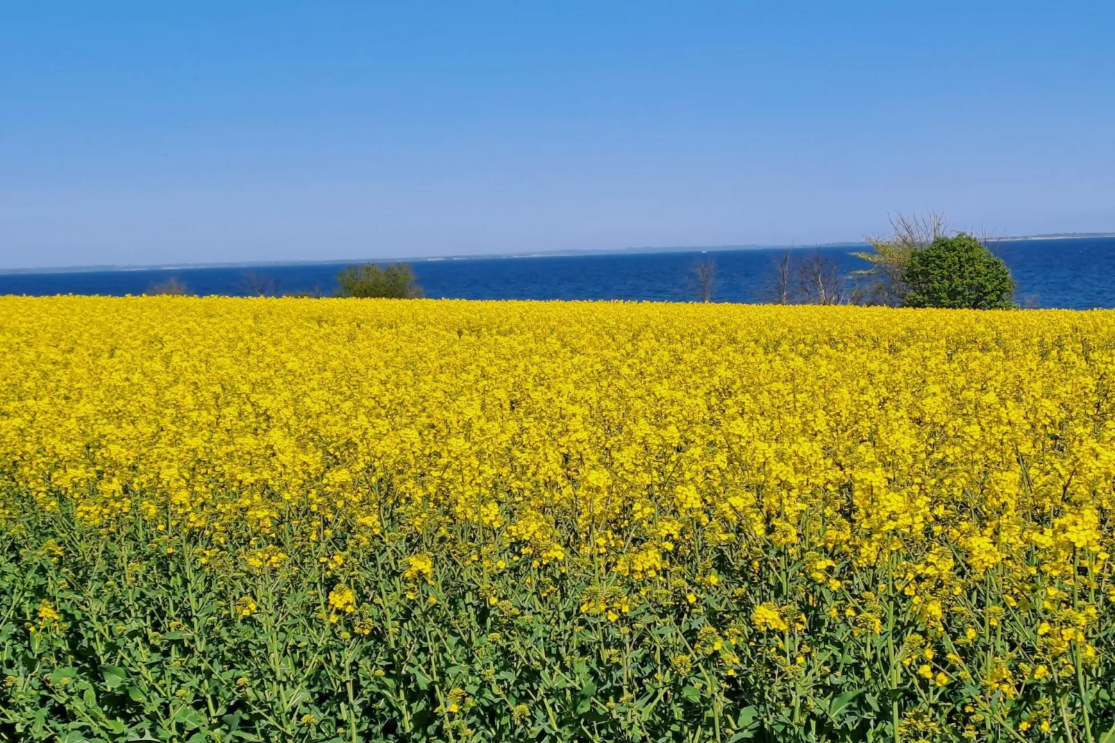 5 star holiday home in Sydals-Untagged