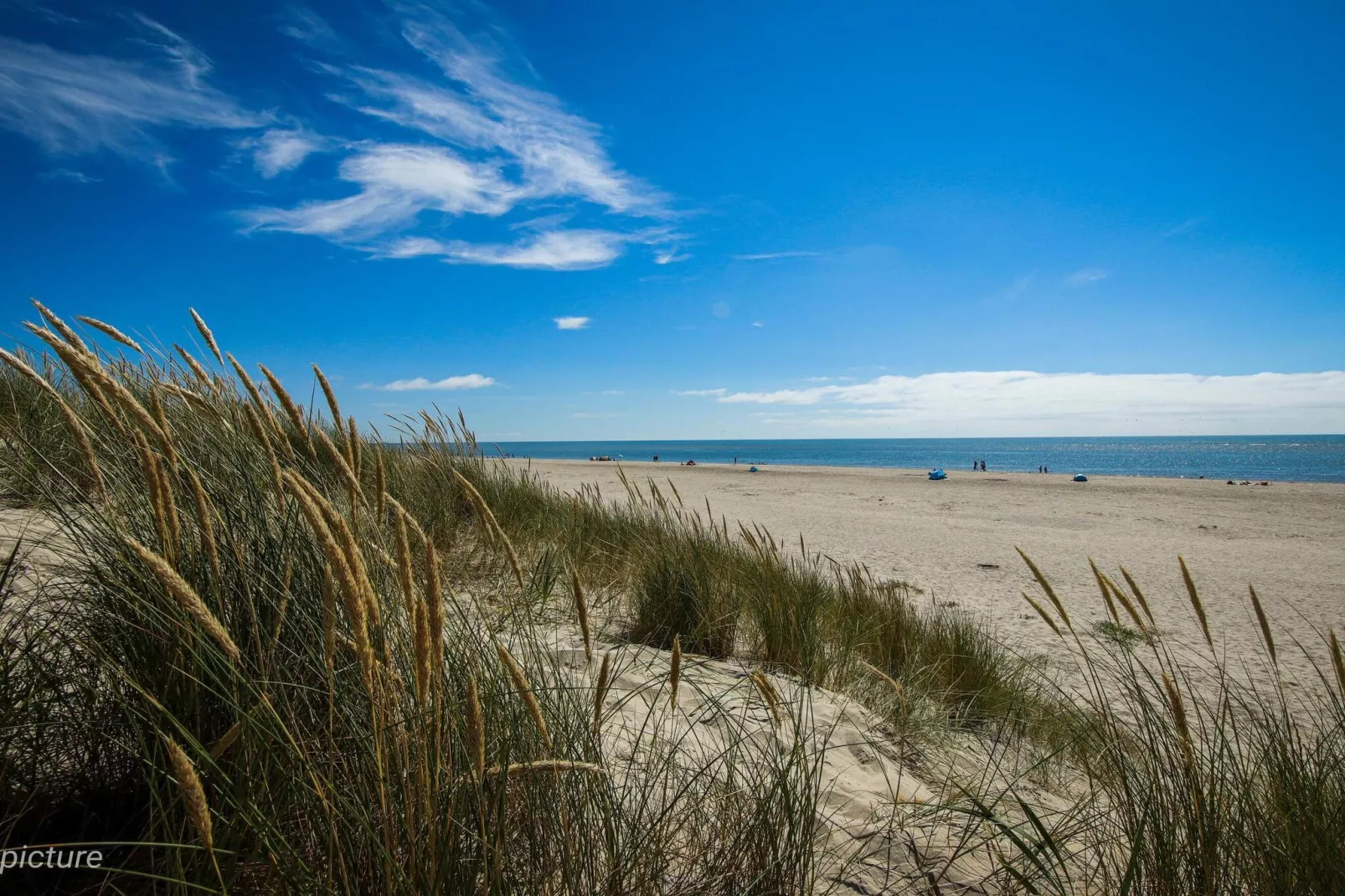 4 Sterne Ferienhaus in Blåvand