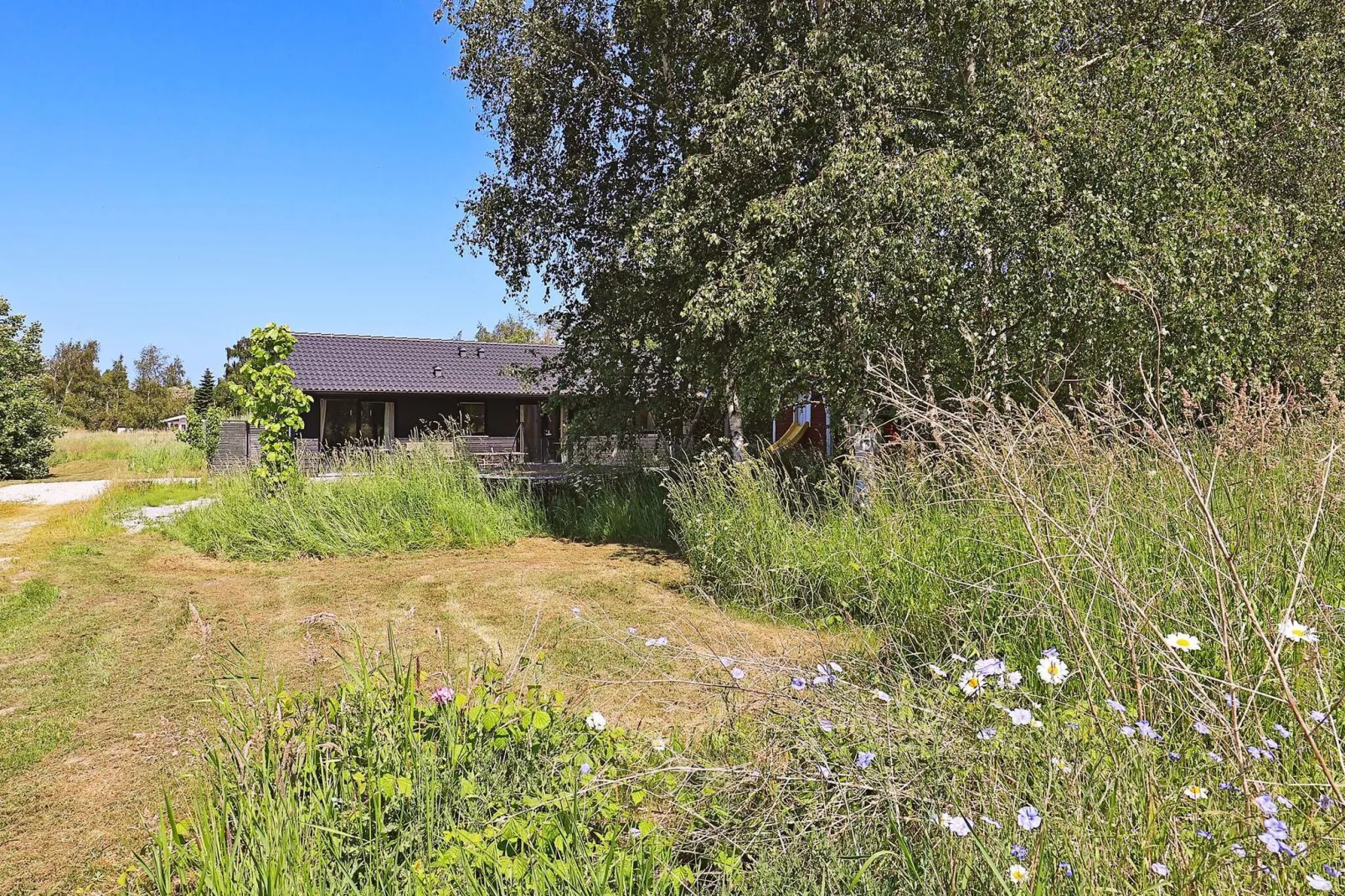 6 Personen Ferienhaus in Stege-Aussicht