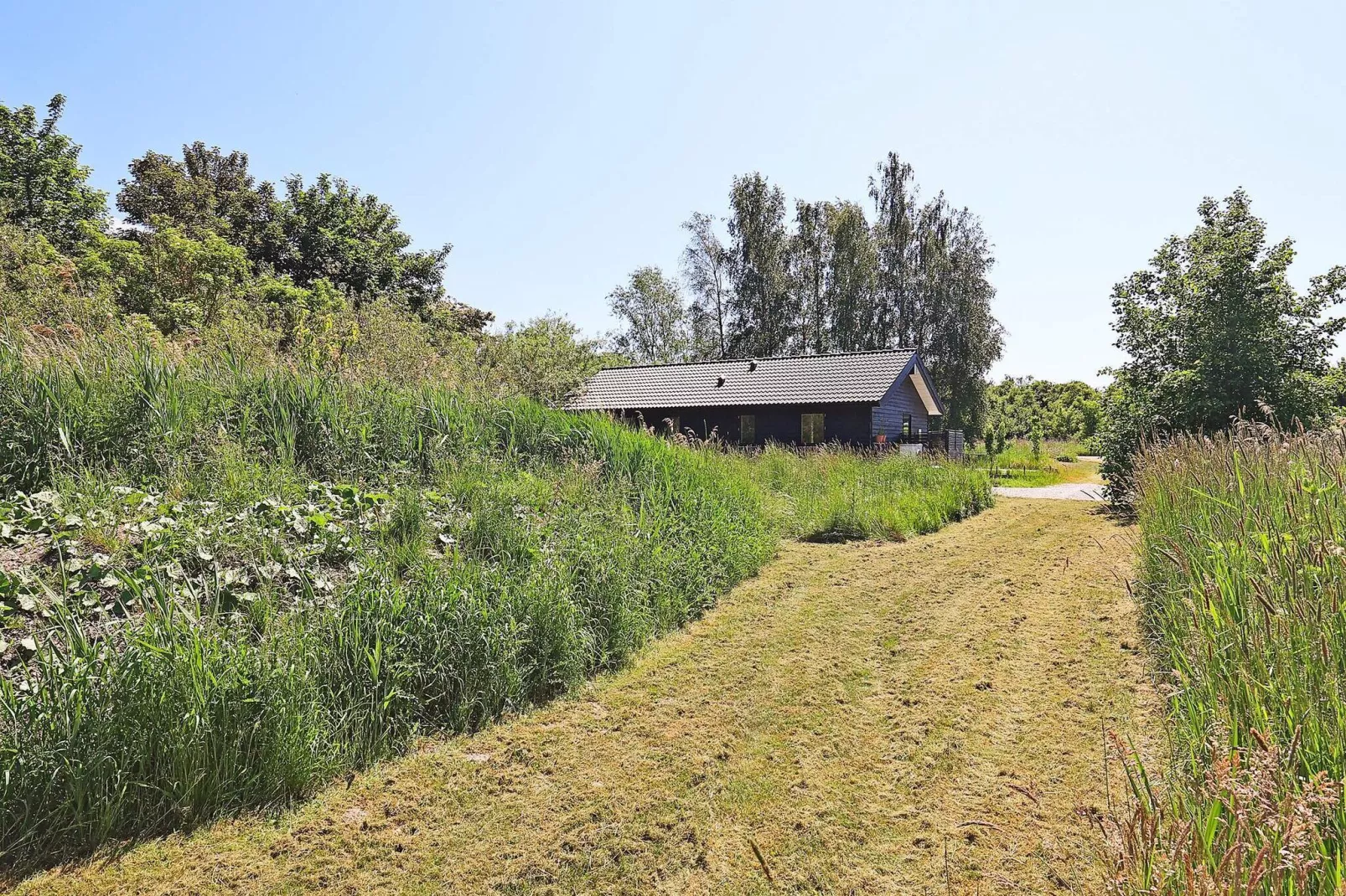 6 Personen Ferienhaus in Stege-Aussicht