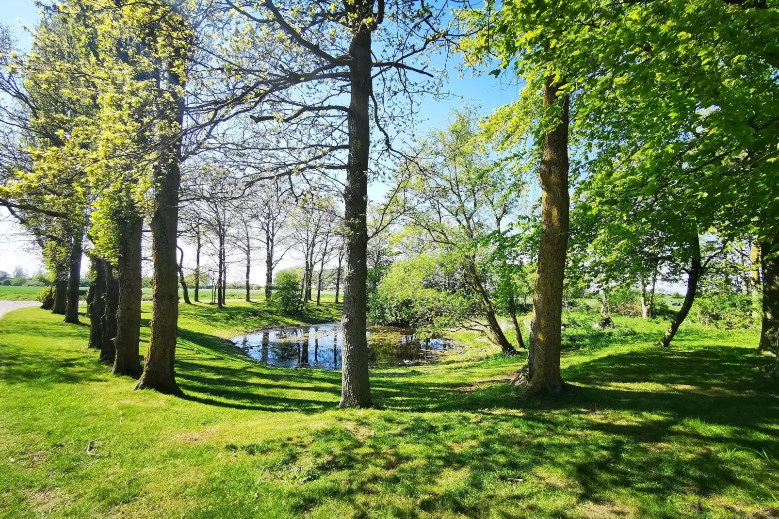 Ferienhaus Petersdorf 4 P-Areas within 5km in summer