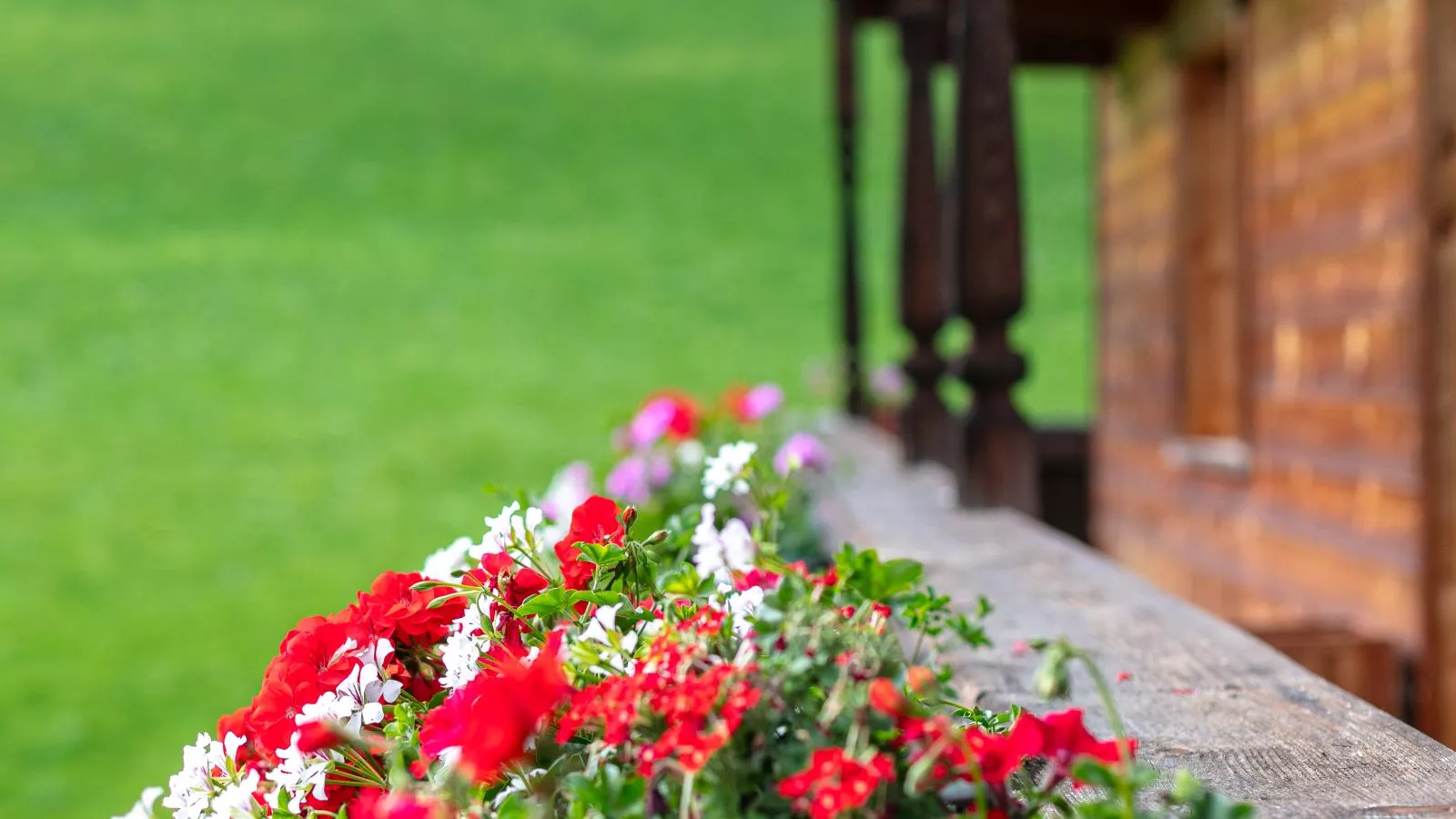 Tiroler Bergtraum Top 1-Ambiance