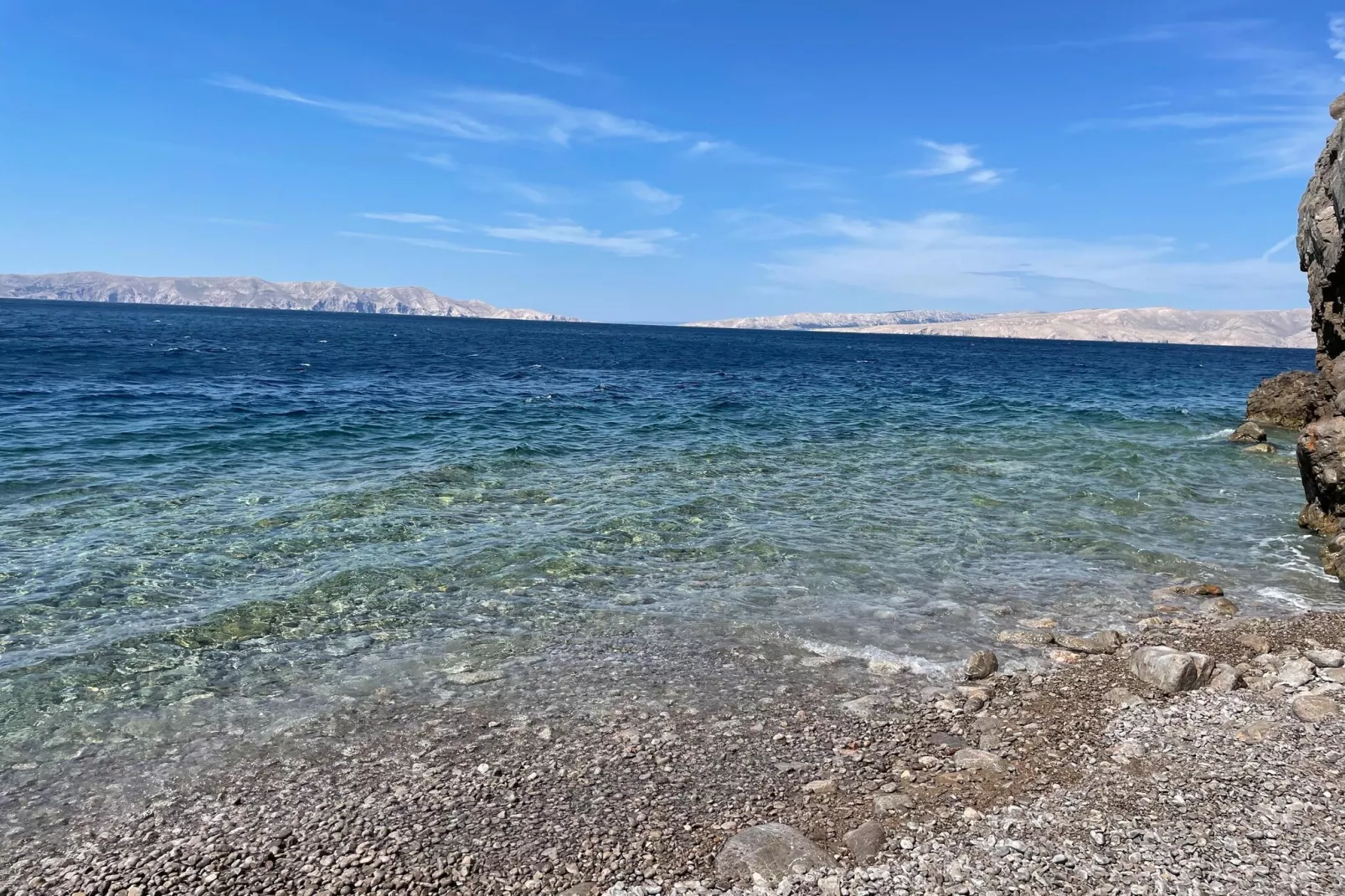 Niko 3-Areas within 1km in summer