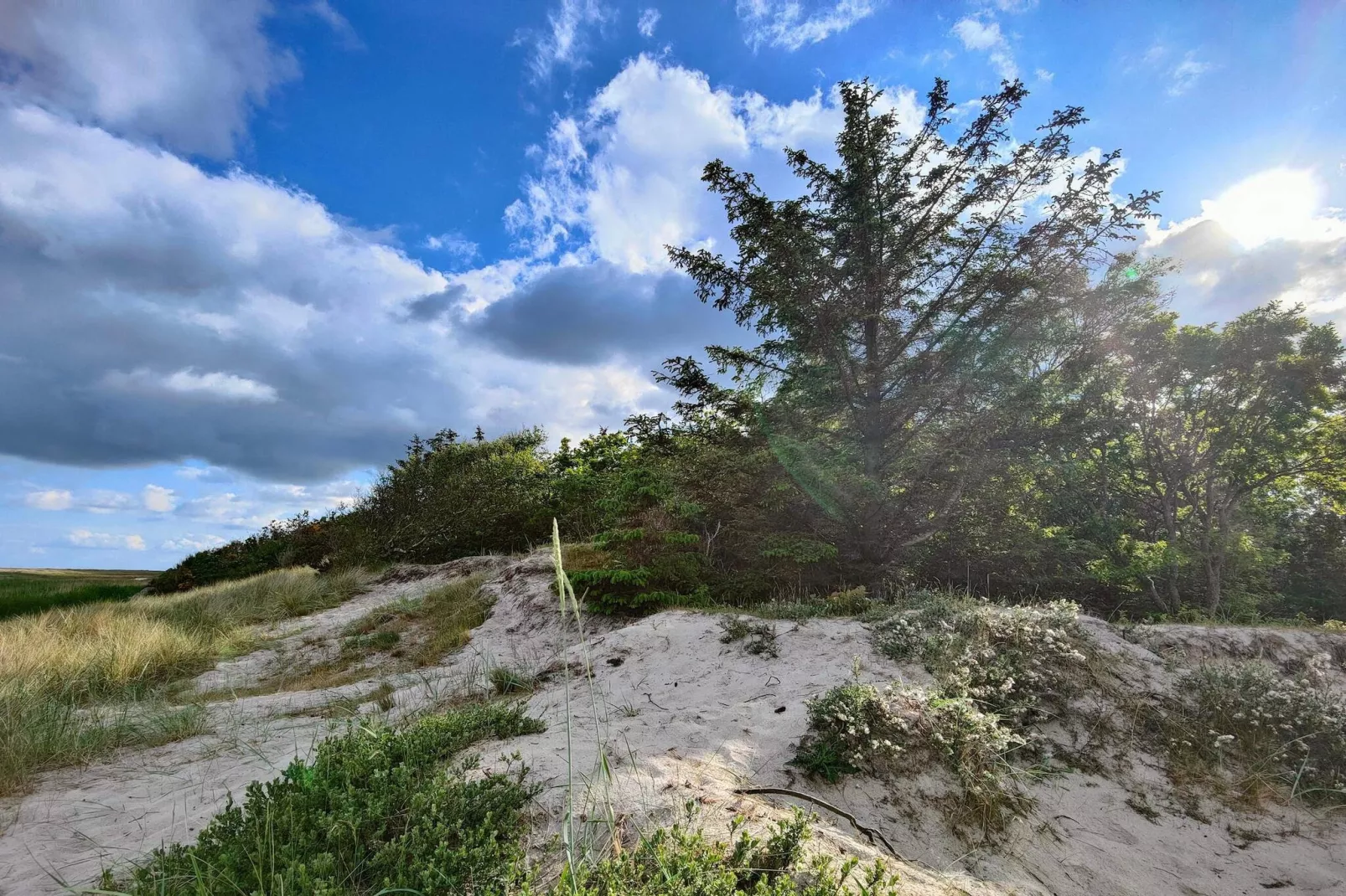 4 star holiday home in Hals-Untagged