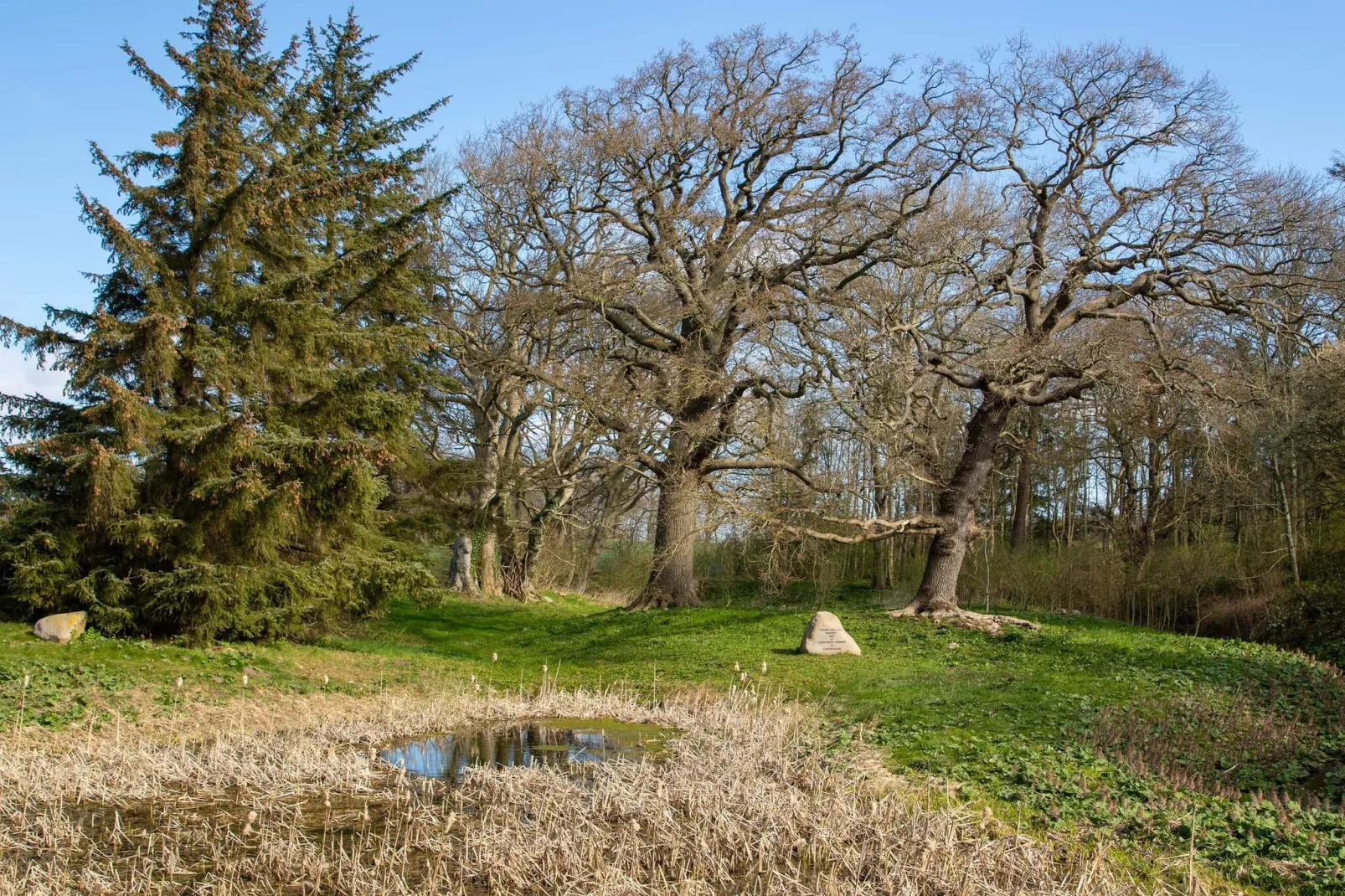 Beautiful cottage near the beach-Untagged