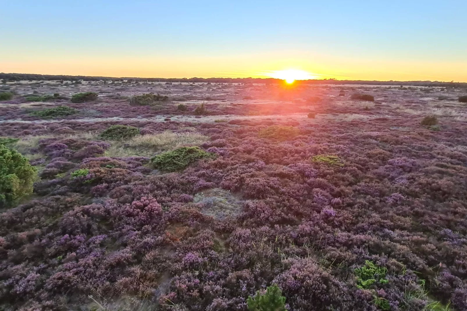 5 Sterne Ferienhaus in Hadsund
