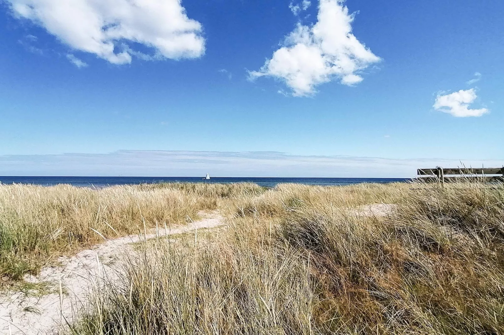 4 Sterne Ferienhaus in Hals-Im Freien