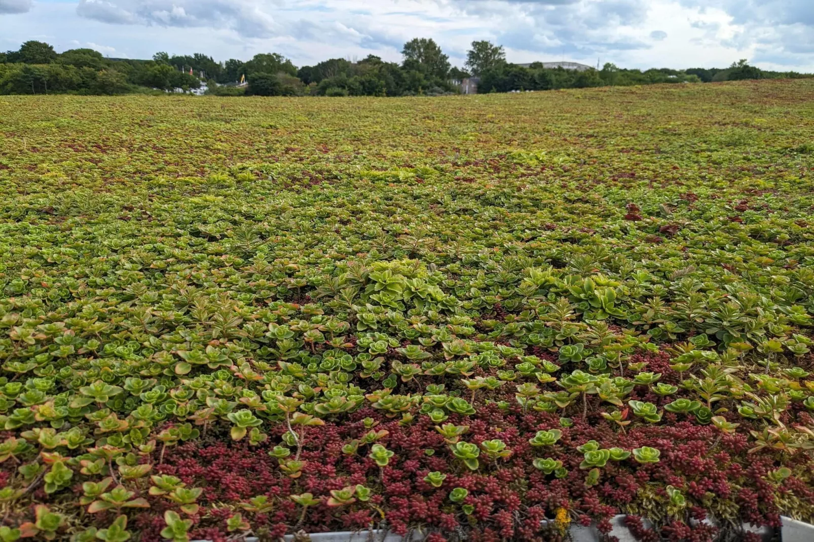 4 Sterne Ferienhaus in Aalborg-Nicht zugeordnet