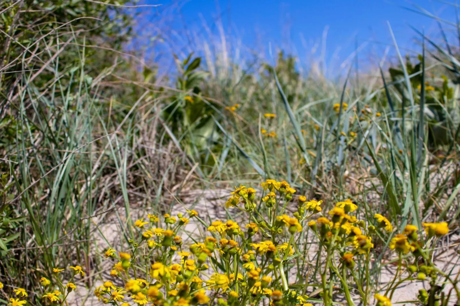 8 person holiday home in Nakskov-Untagged