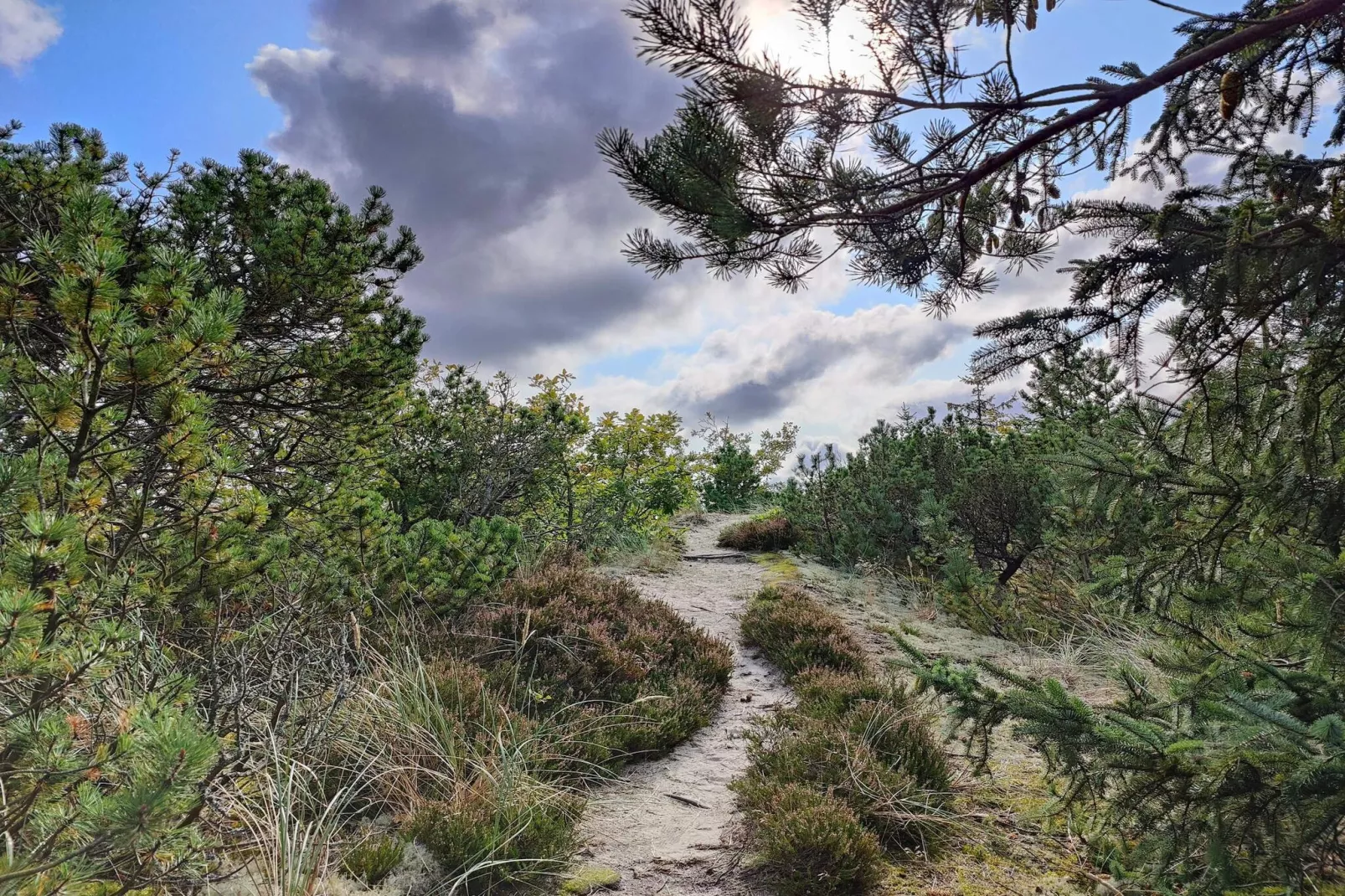 Maison de vacances pour 5 a Snedsted-Non tagué