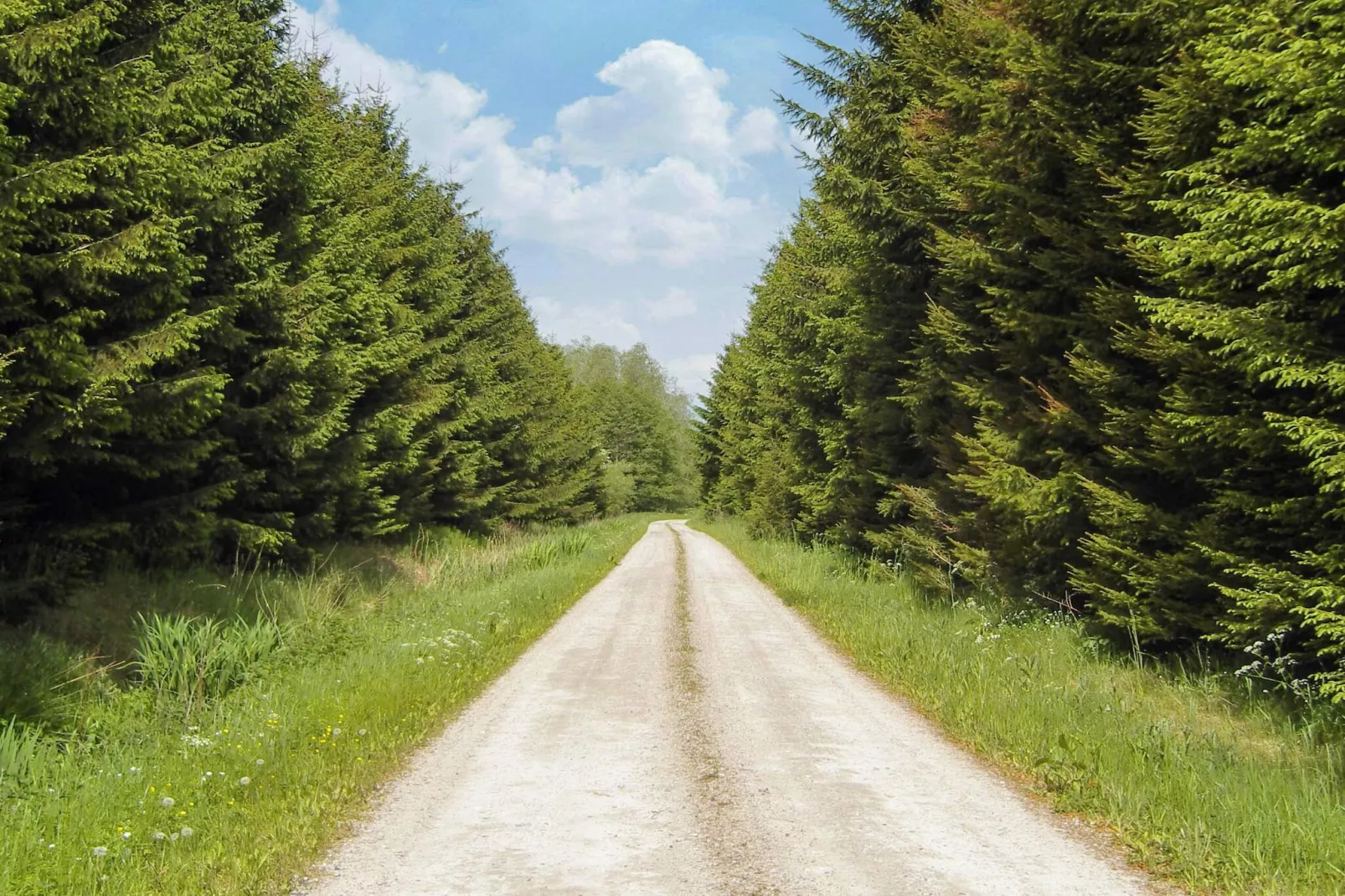 6 person holiday home in Storvorde