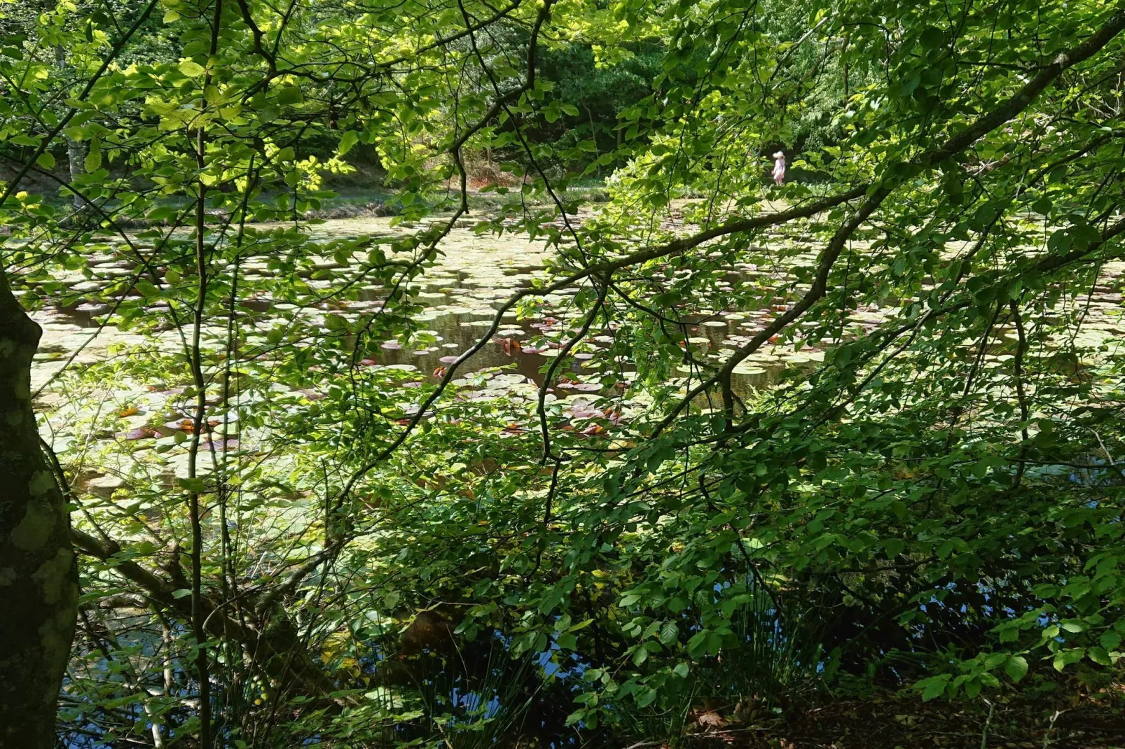 5 star holiday home in Løkken-Untagged