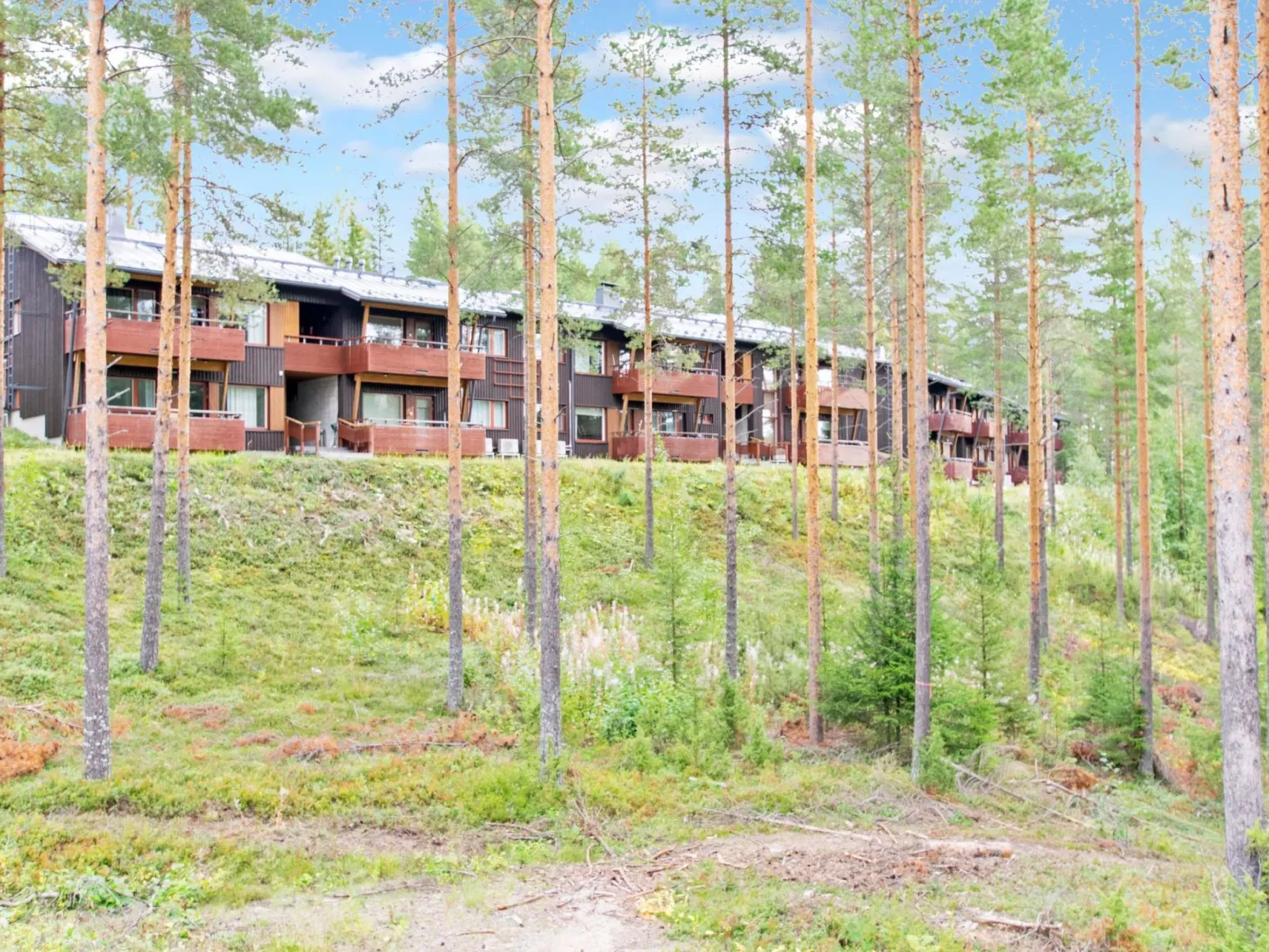 Haapala suites 33
