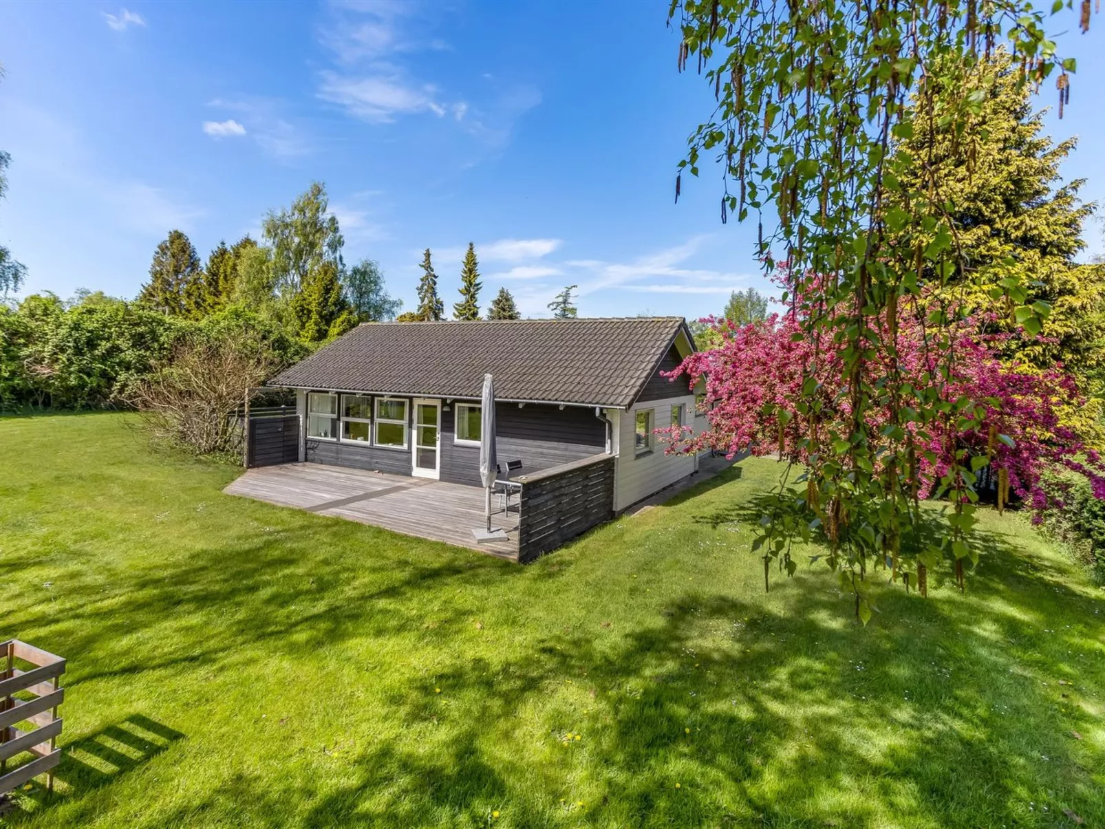 "Prohor" - 150m from the sea