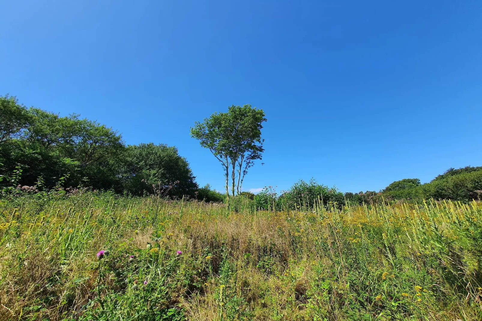 4 star holiday home in Bagenkop-Untagged