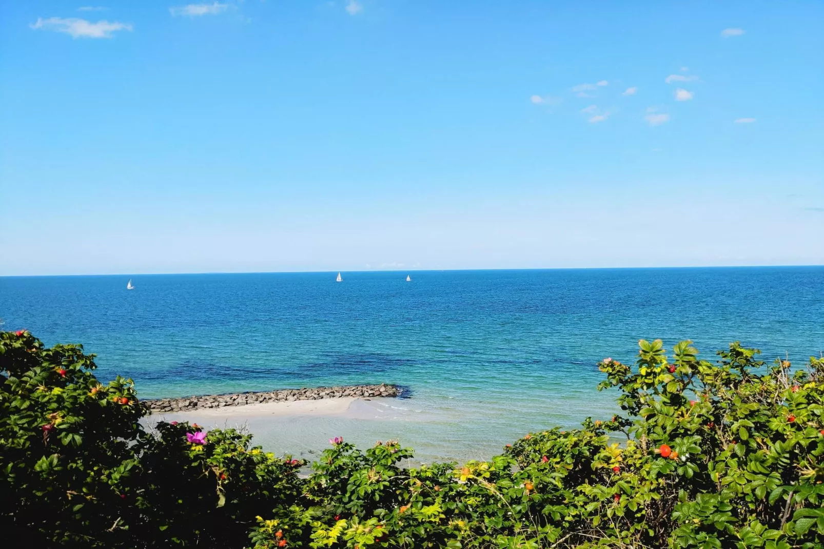4 etoiles maison de vacances a Liseleje-Vue sur l'eau