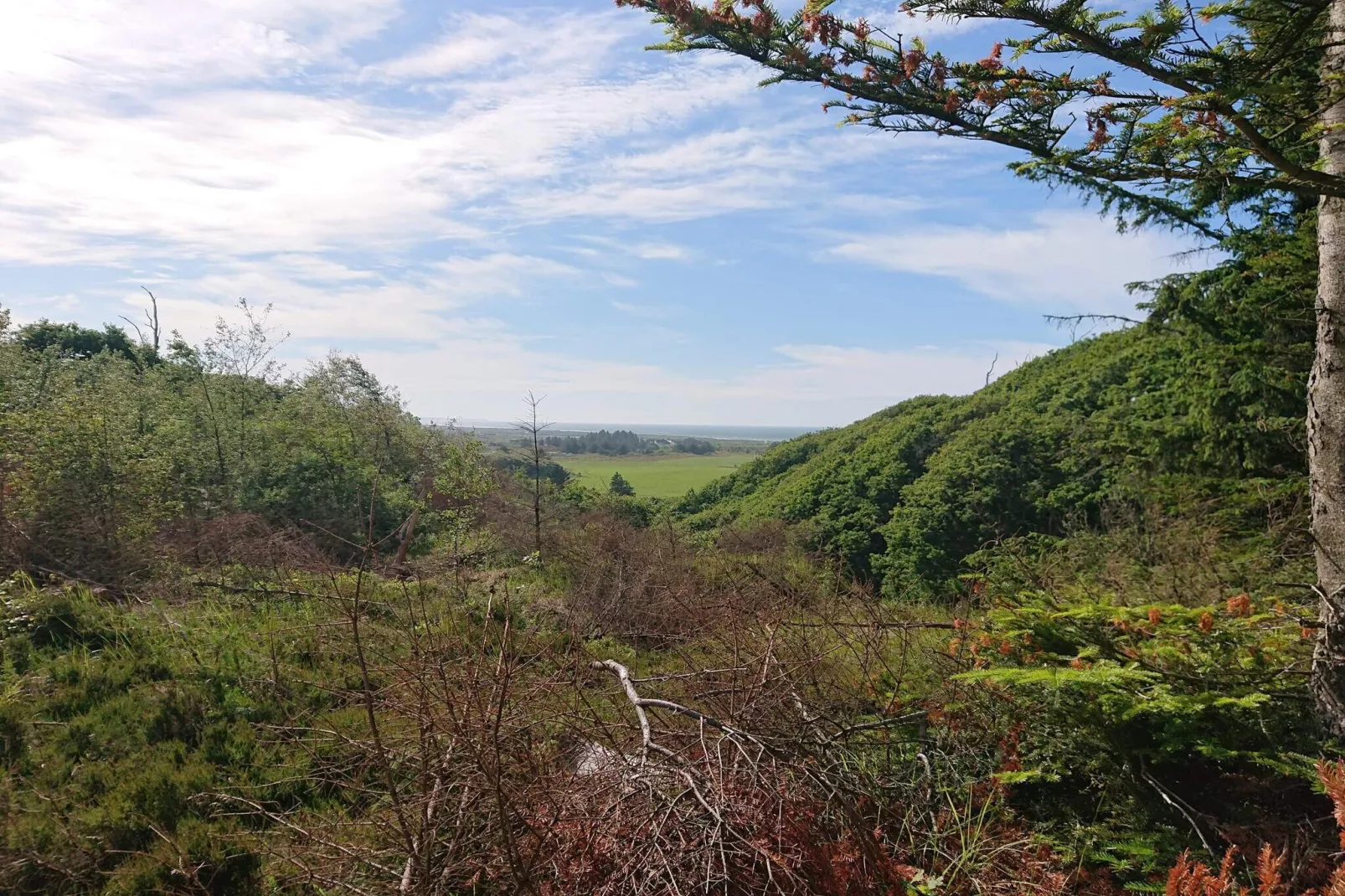 4 star holiday home in Brovst-Untagged