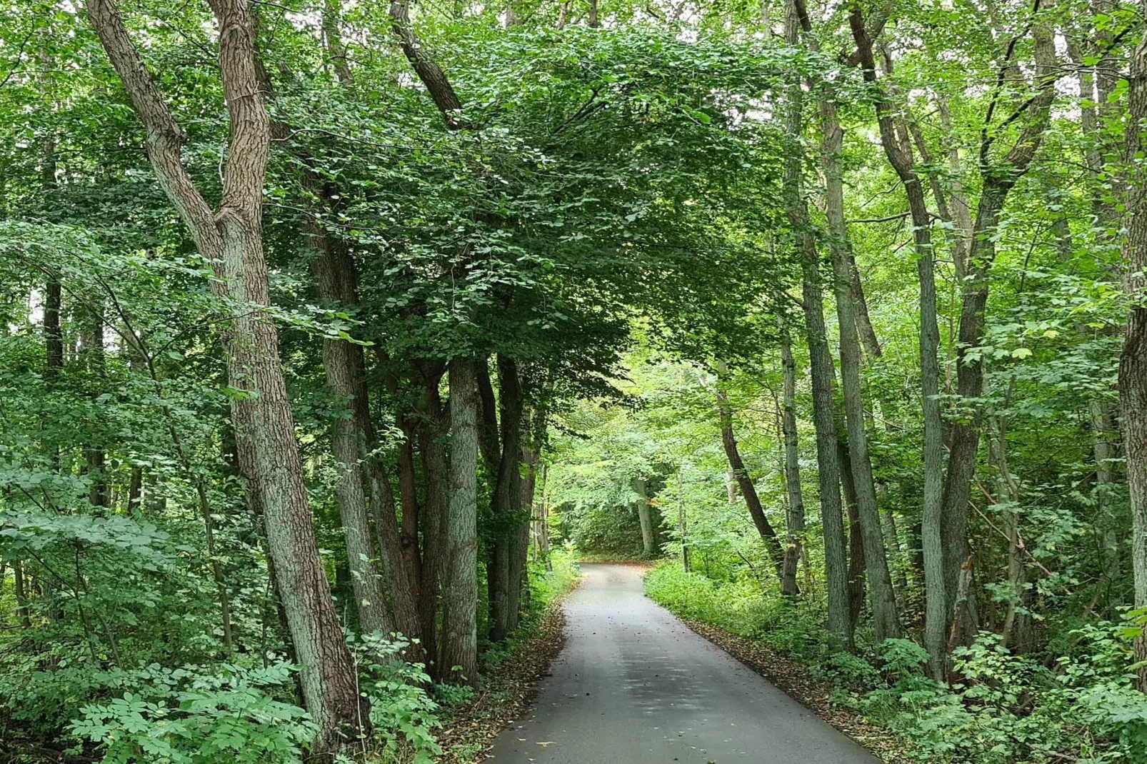 4 etoiles maison de vacances a Jægerspris-Non tagué