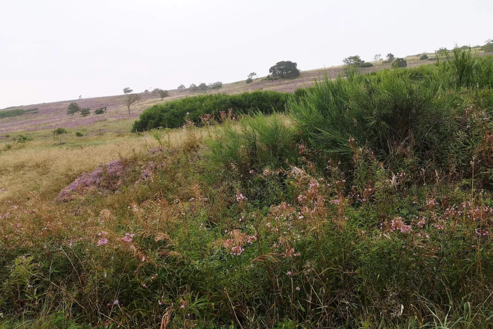 5 star holiday home in Farsø-Untagged