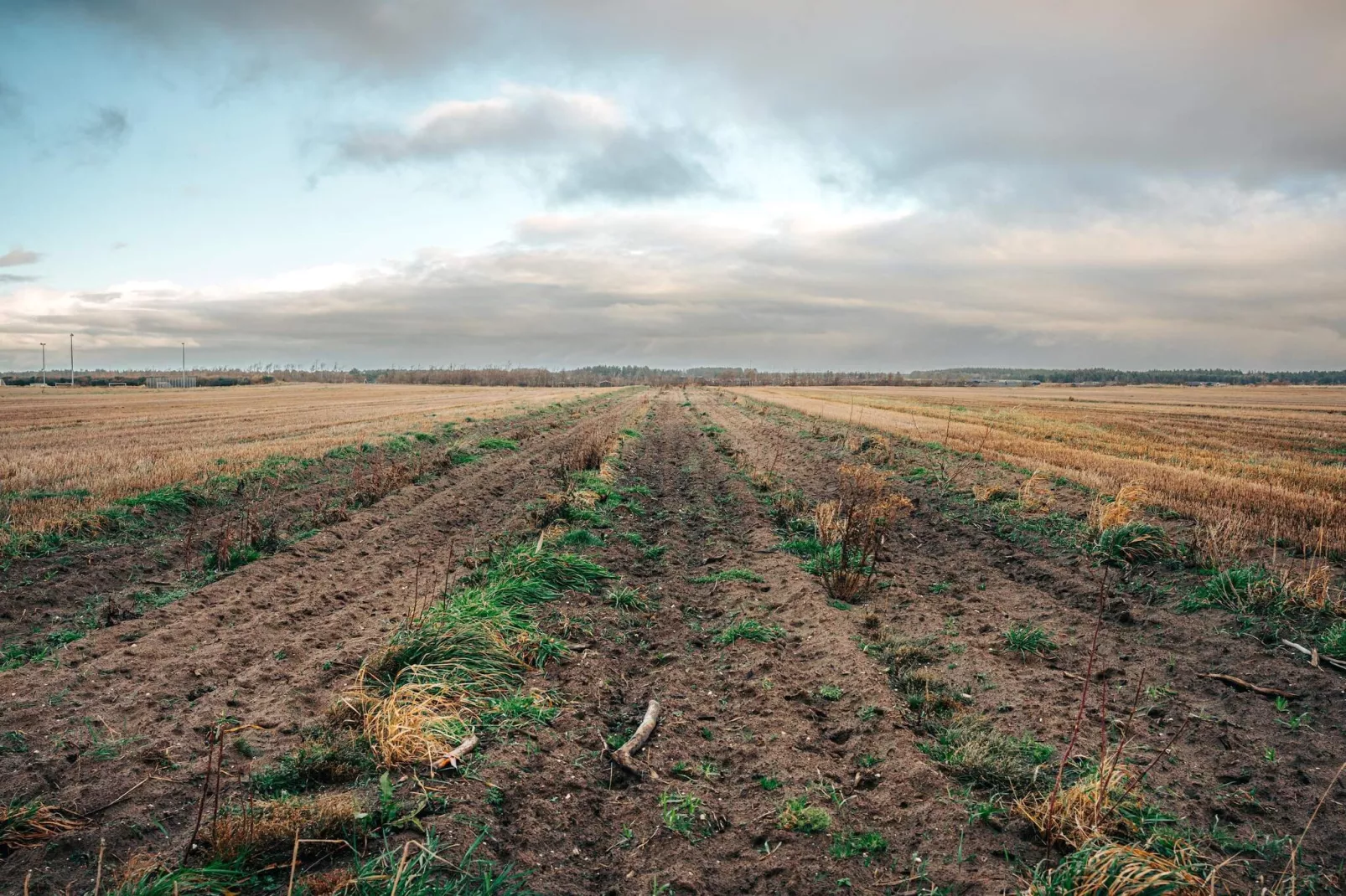 4 etoiles maison de vacances a Brønderslev