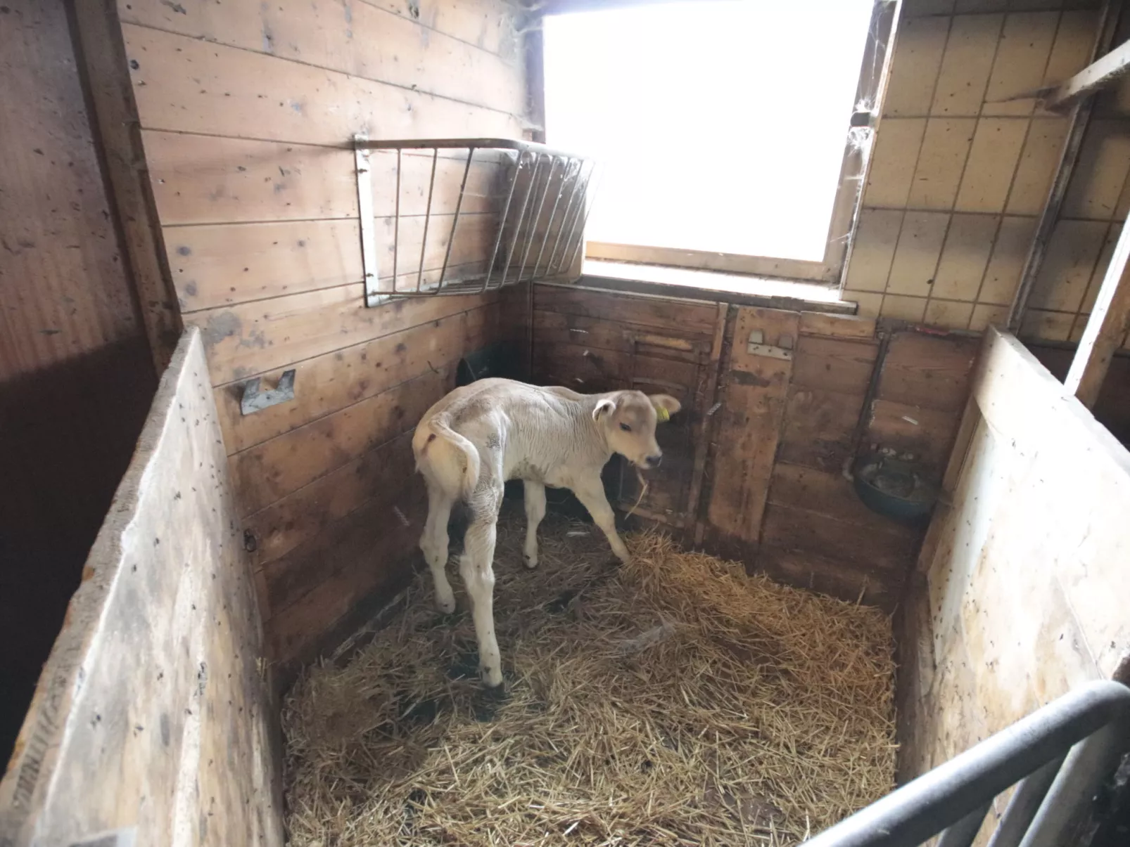 Alpenfarm Poschhof-Dehors