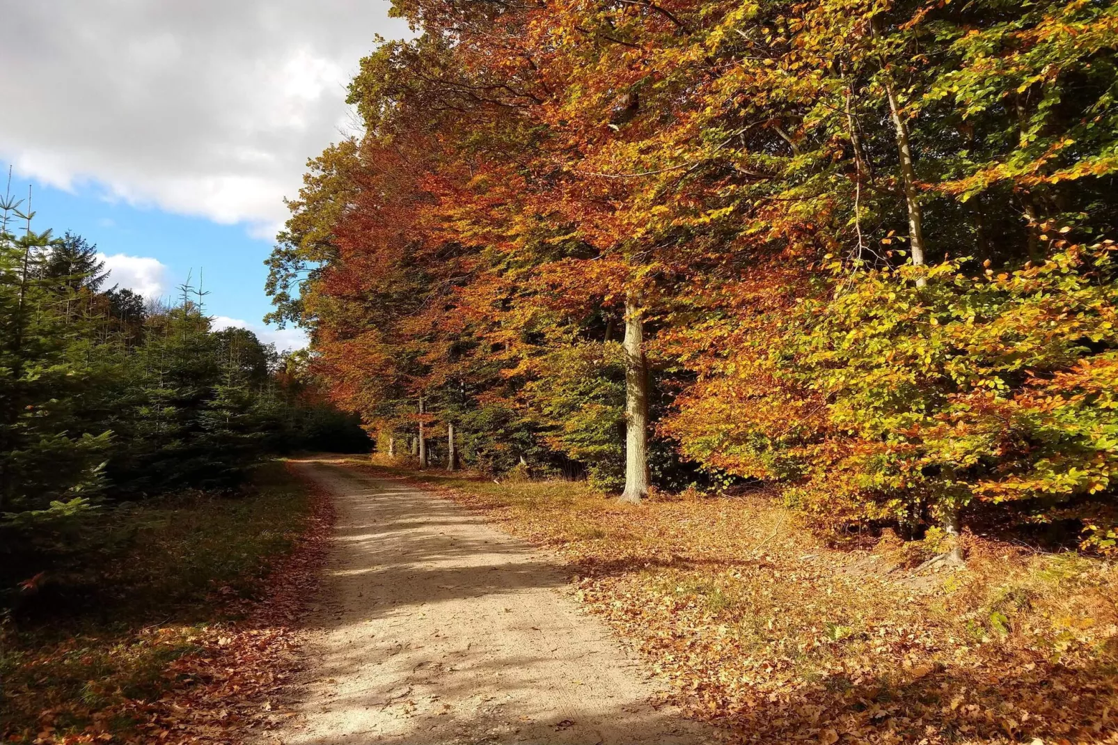 4 Sterne Ferienhaus in Karrebæksminde-Nicht zugeordnet