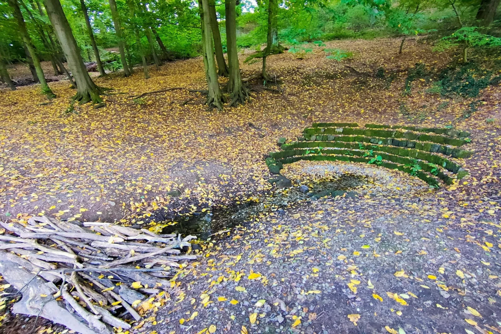 Ferienwohnung Freital - Dresden