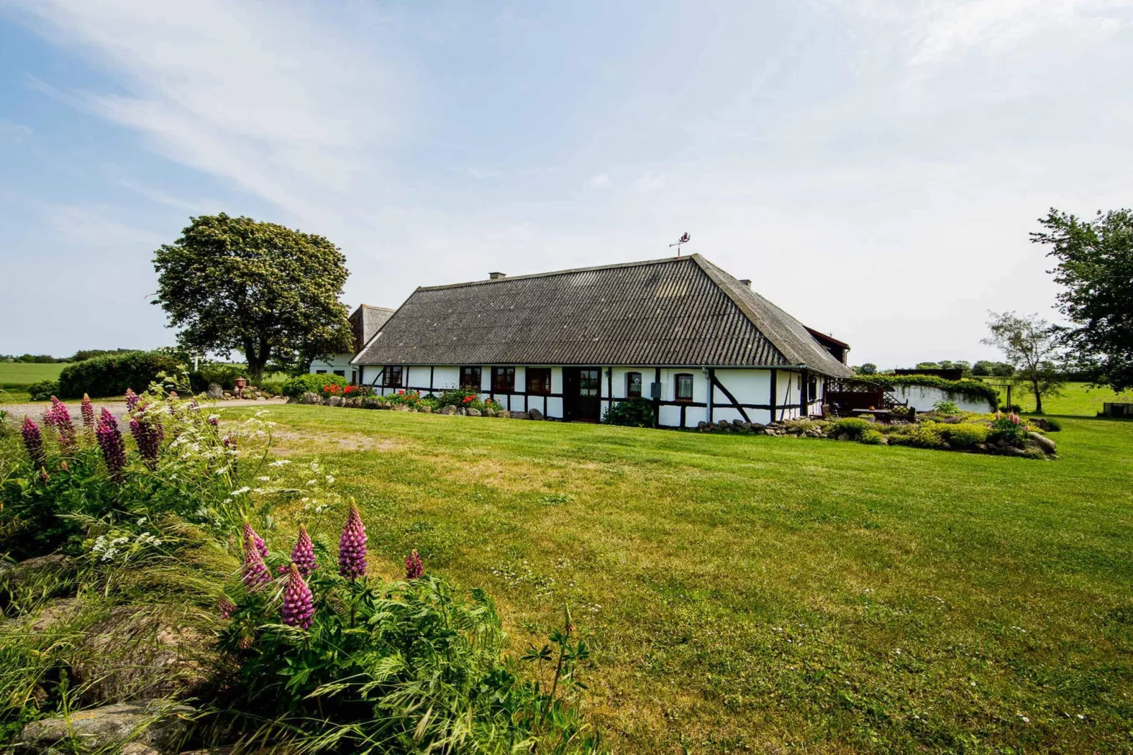 5 Sterne Ferienhaus in Faaborg