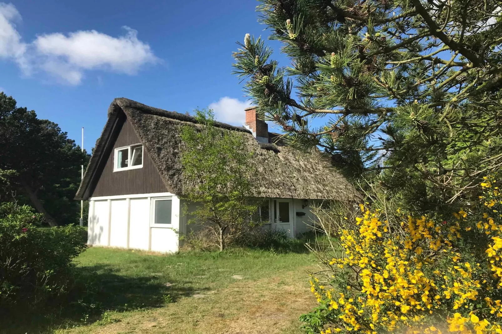 5 Sterne Ferienhaus in Rømø