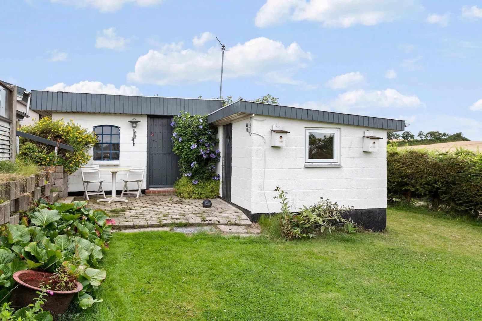 5 Sterne Ferienhaus in Roslev