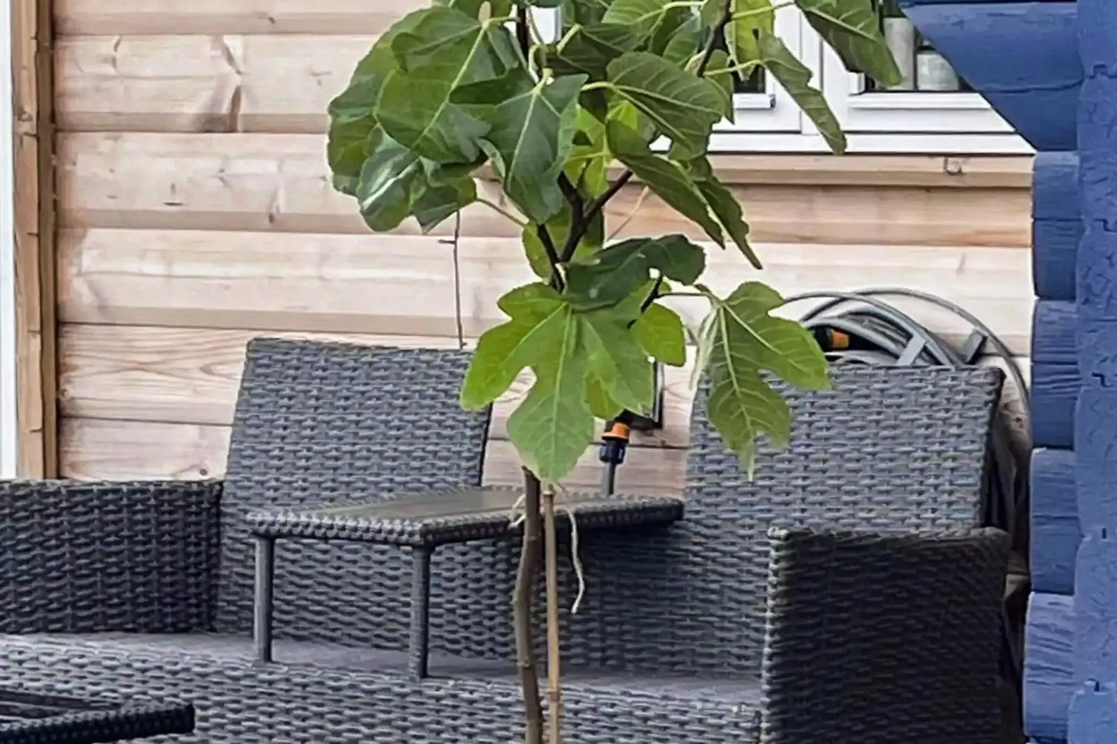 5 star holiday home in Slagelse