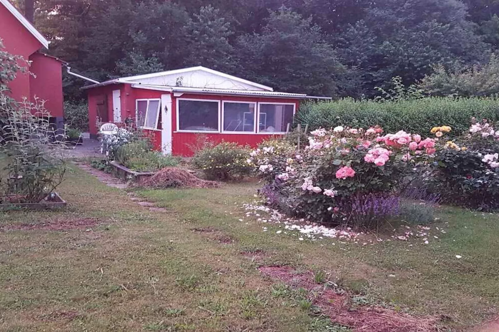 5 star holiday home in Svaneke