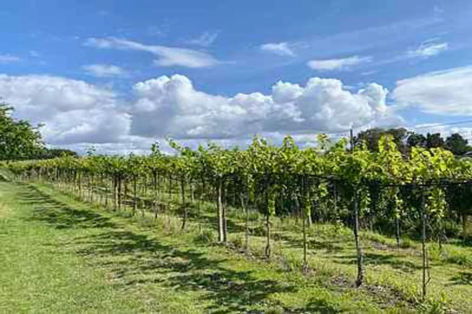 4 etoiles maison de vacances a Karrebæksminde