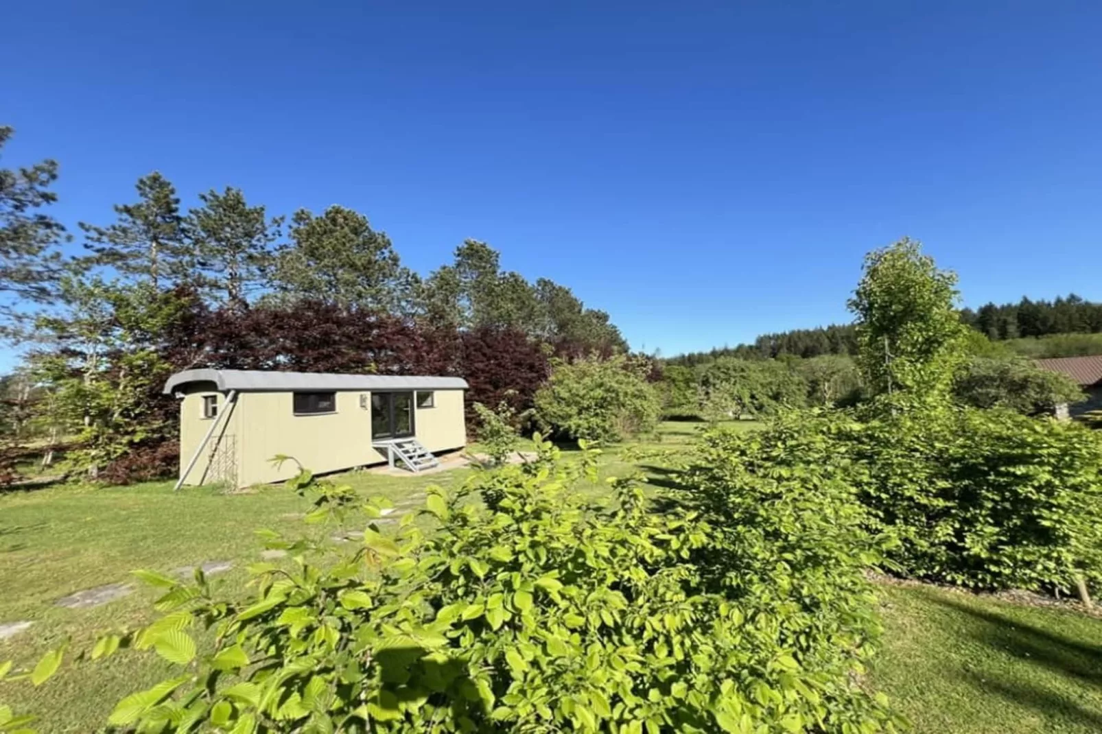 Pine Tree Tiny Cottage