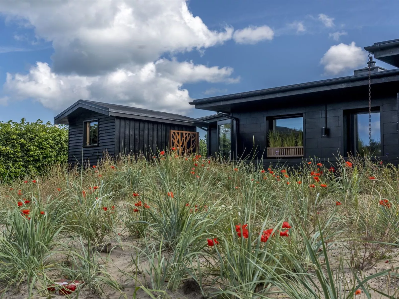 "Solfrid" - 900m from the sea