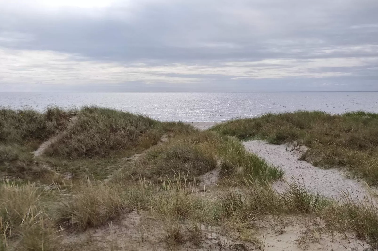Maison de vacances pour 5 a Ålbæk-Non tagué