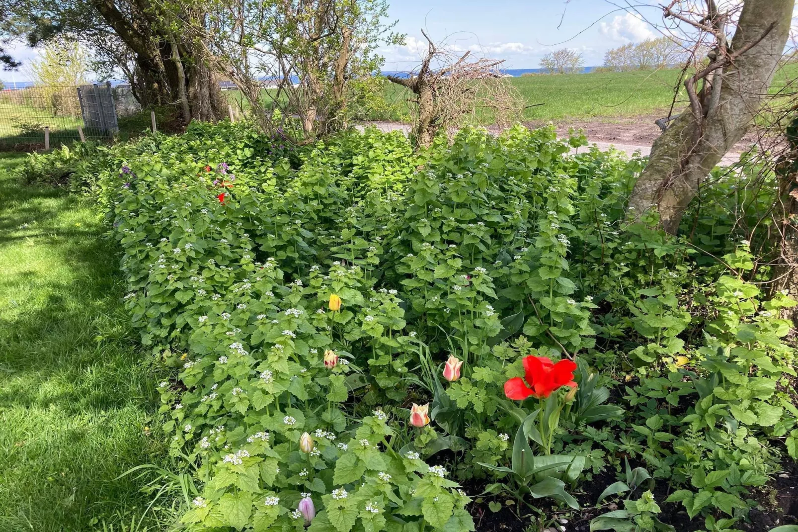 Maison de vacances pour 6 a Ansager