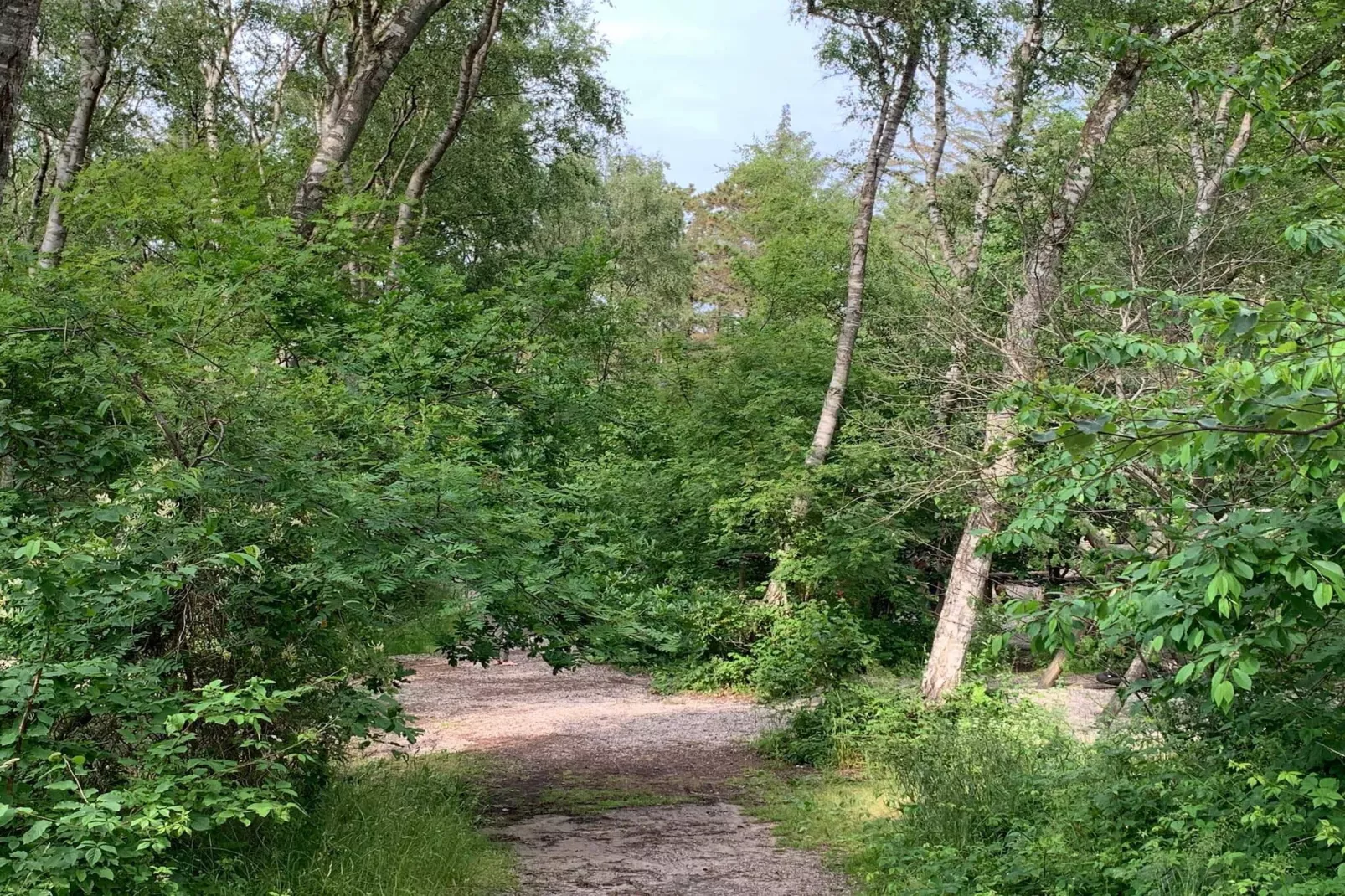 Maison de vacances pour 20 a Frederiksværk-Non tagué